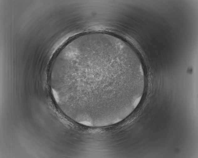X0000115611023200912221203