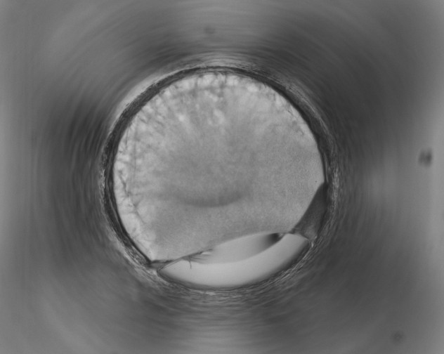 X0000115611024200912221203
