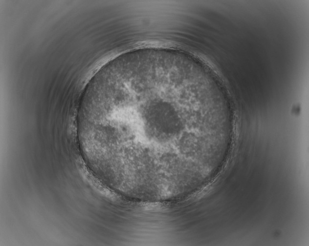 X0000115611025200912221203