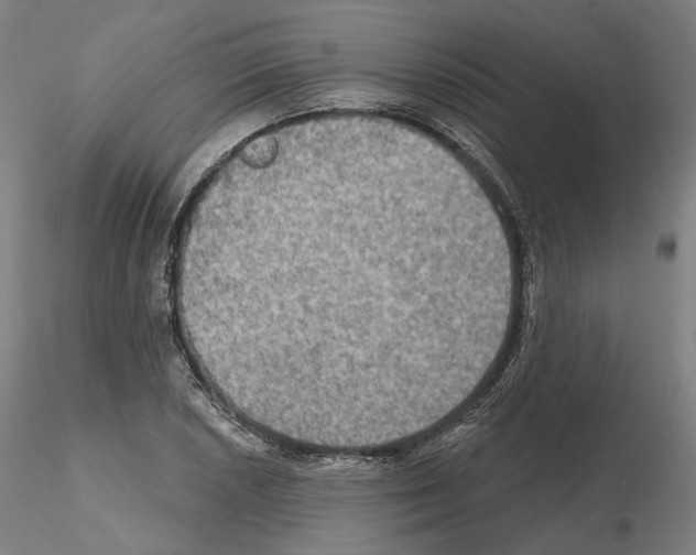 X0000115611026200912221203