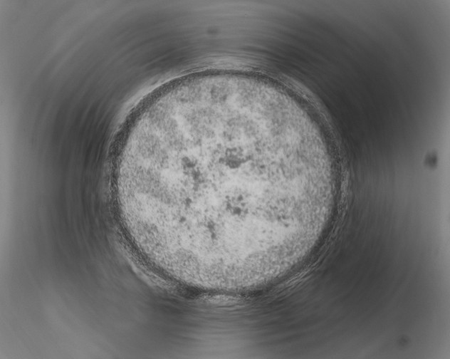 X0000115611027200912221203