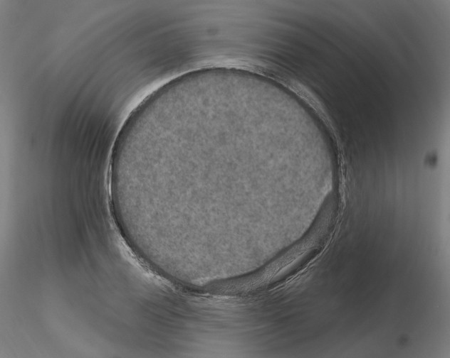 X0000115611028200912221203