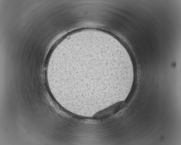 X0000115611029200912221203