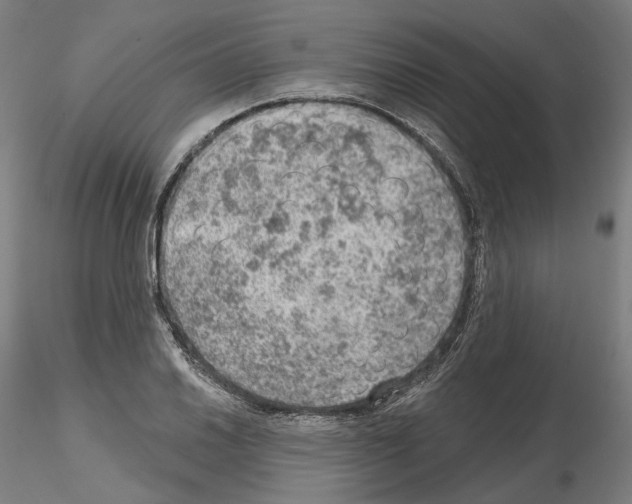 X0000115611030200912221203