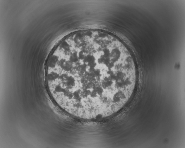 X0000115611031200912221203