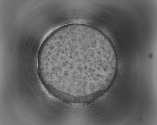 X0000115611032200912221203