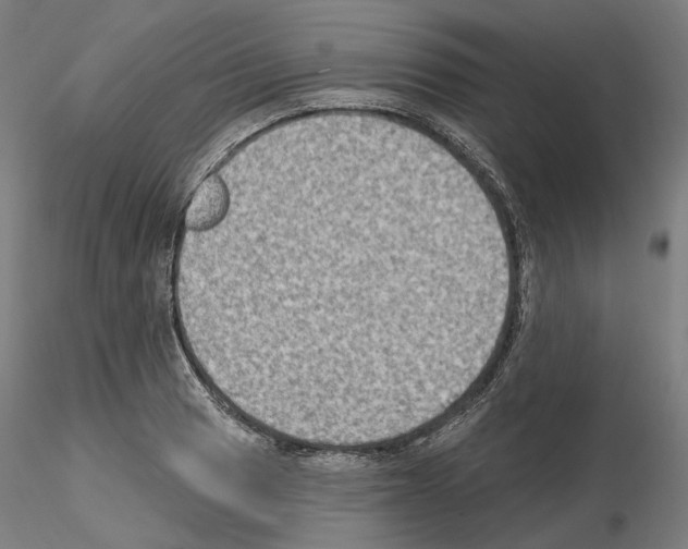 X0000115611033200912221203