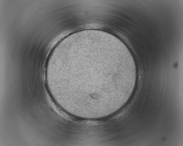 X0000115611034200912221203