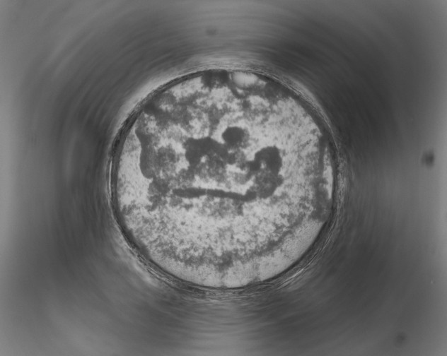 X0000115611035200912221203