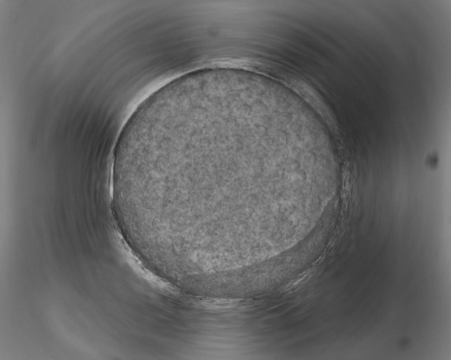 X0000115611036200912221203