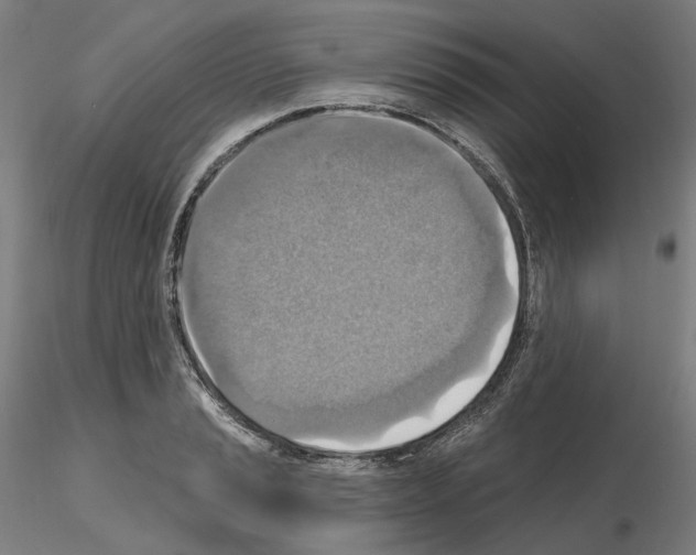X0000115611037200912221203