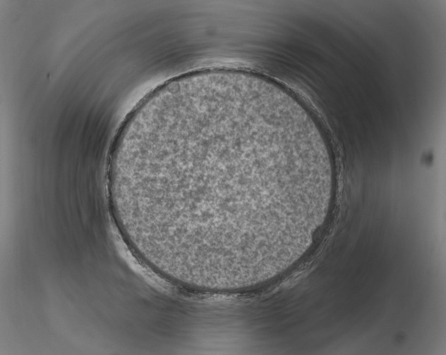 X0000115611038200912221203