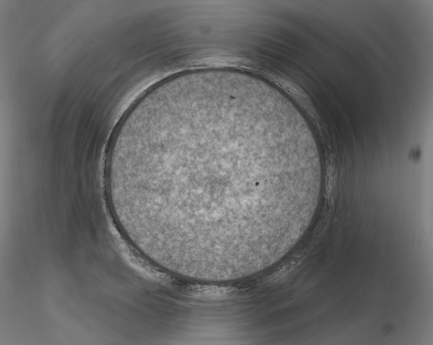 X0000115611039200912221203