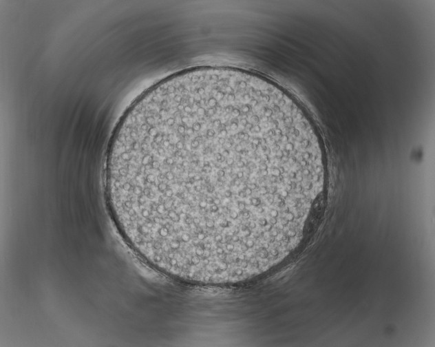 X0000115611040200912221203