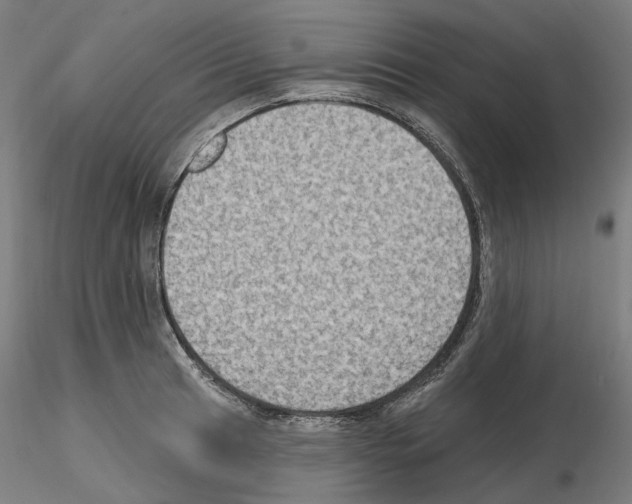 X0000115611041200912221203