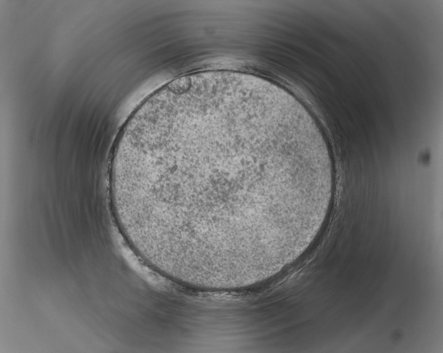 X0000115611042200912221203