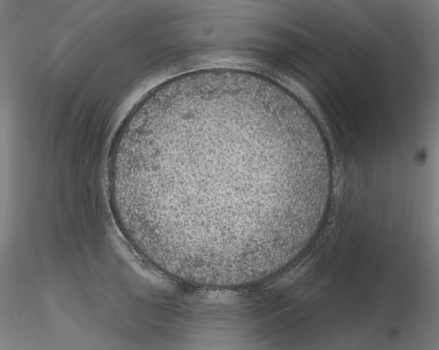 X0000115611043200912221203