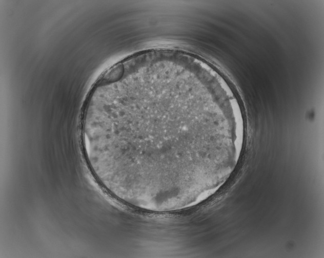 X0000115611045200912221203