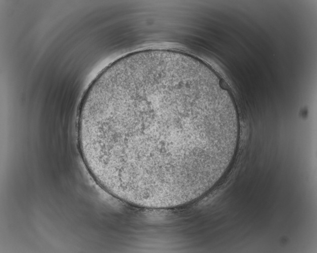 X0000115611046200912221203