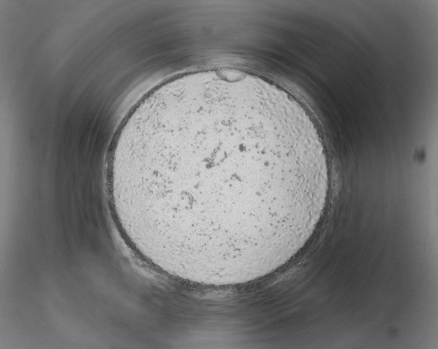 X0000115611047200912221203
