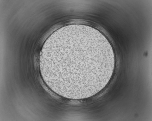 X0000115611049200912221203