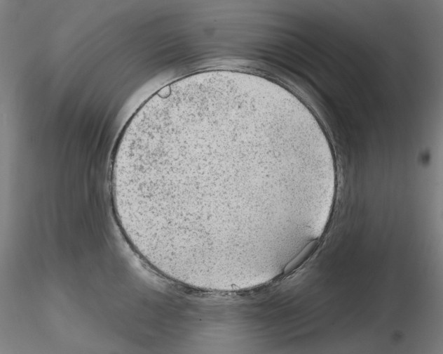 X0000115611050200912221203