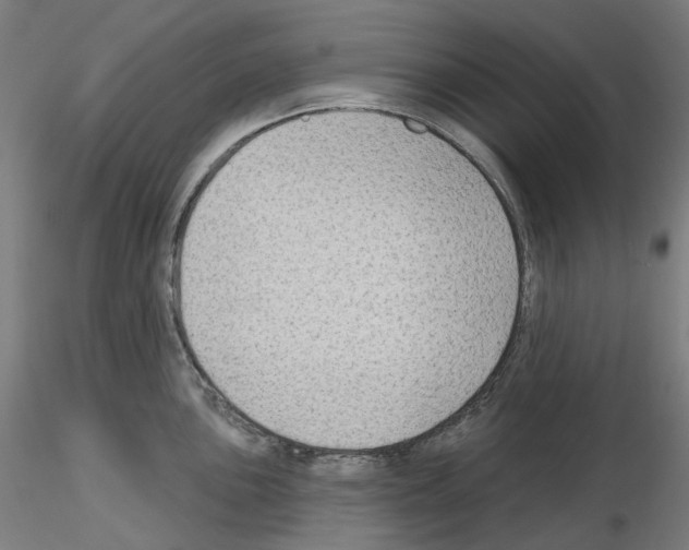 X0000115611051200912221203