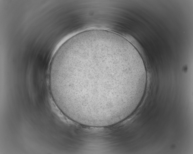 X0000115611052200912221203