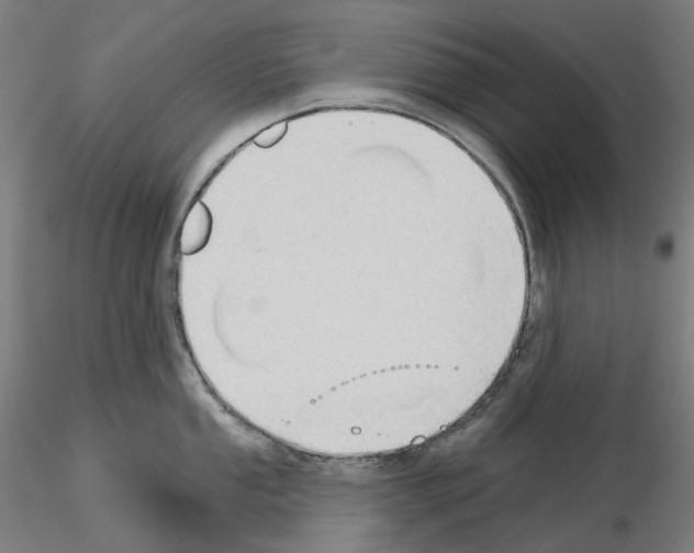 X0000115611053200912221203