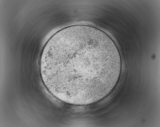 X0000115611054200912221203
