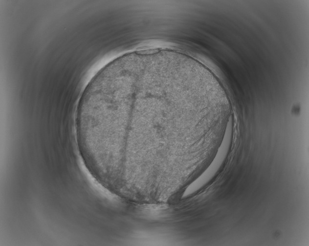 X0000115611055200912221203