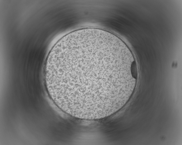 X0000115611056200912221203