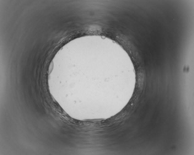 X0000115611057200912221202