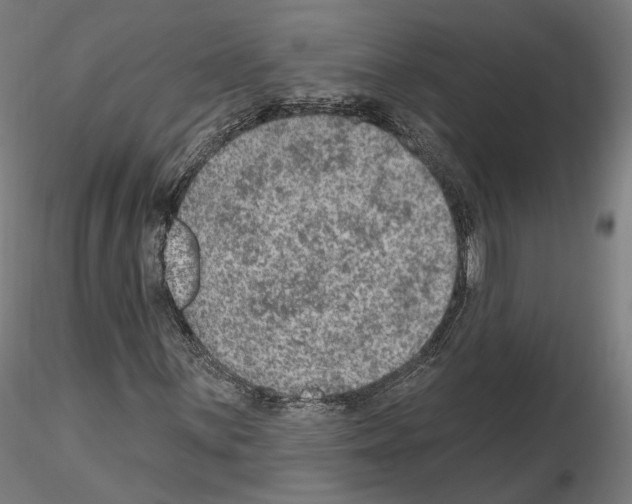 X0000115611059200912221202