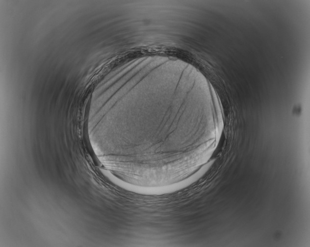 X0000115611060200912221202