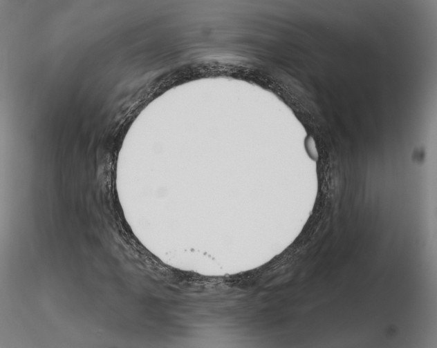 X0000115611061200912221202