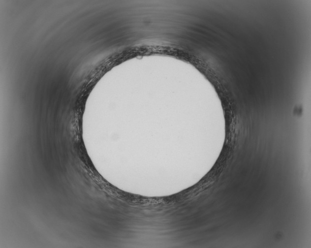 X0000115611062200912221202