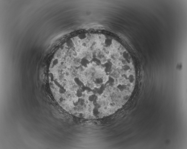 X0000115611063200912221202