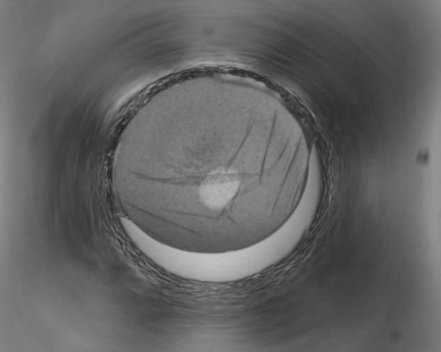 X0000115611064200912221202