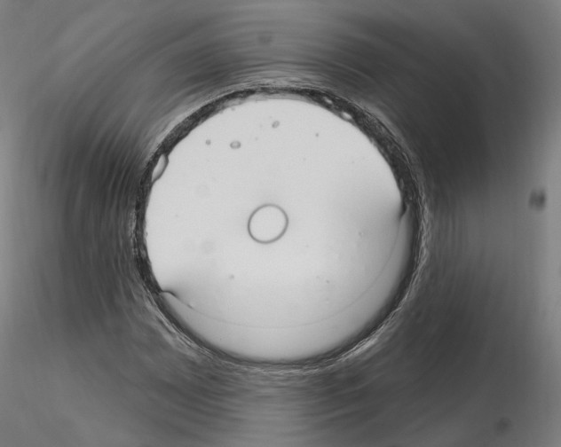 X0000115611065200912221202