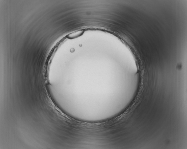 X0000115611068200912221202