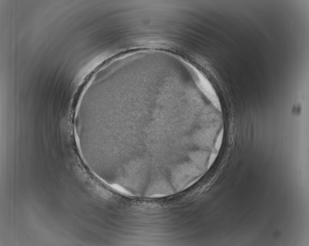 X0000115611071200912221202