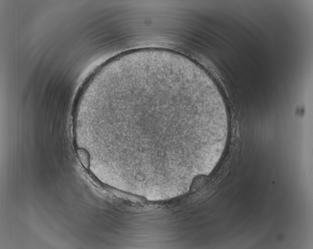 X0000115611072200912221202