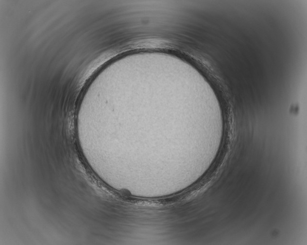 X0000115611073200912221202