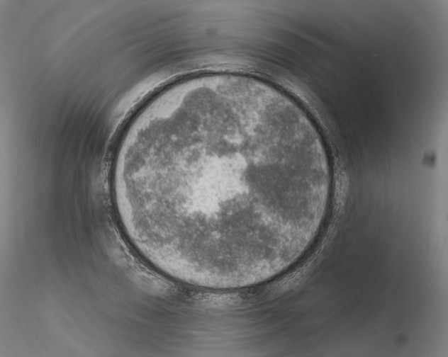 X0000115611074200912221202