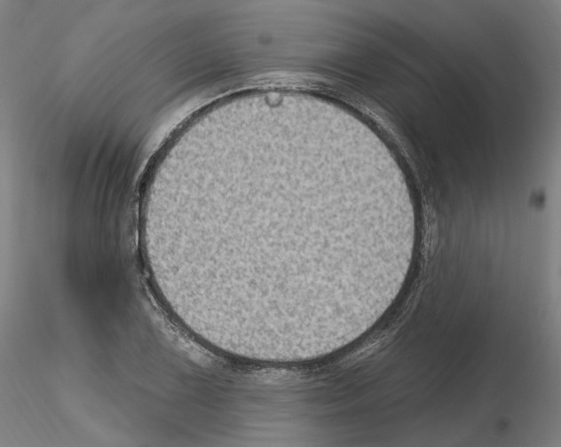 X0000115611075200912221202