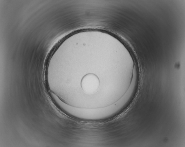 X0000115611077200912221202