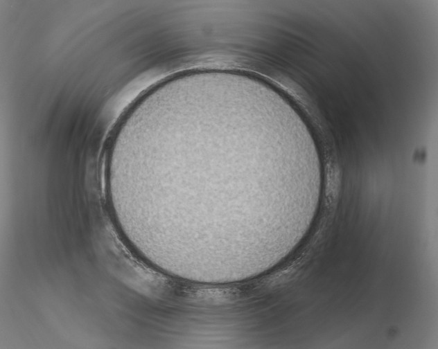 X0000115611078200912221202