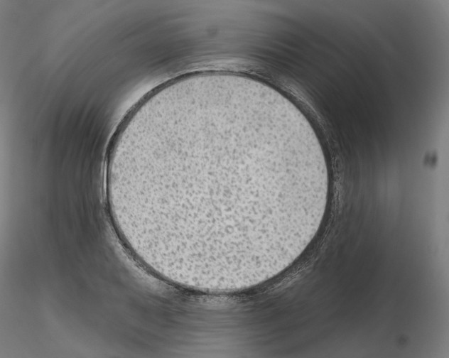 X0000115611079200912221202