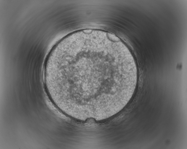 X0000115611080200912221202
